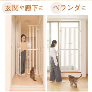 レビューキャンペーン実施中 【ねこ脱走防止ゲー...の詳細画像2