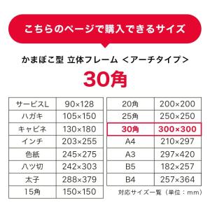 額縁 ボックスフレーム アーチタイプ カマボコ...の詳細画像1