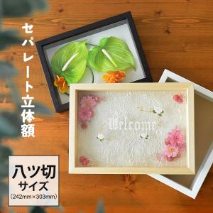 白いプラスチック製額縁と付属品 ボックスフレーム 立体額 セパレートタイプ B5 ブライダル