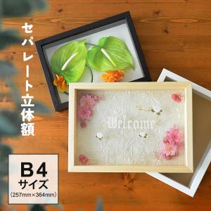 ボックスフレーム 立体額 セパレートタイプ A3 ブライダル ミニチュア