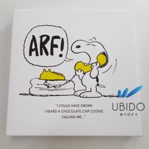 スヌーピー アートパネル キャンバス ピーナッツ【フラワー】50角
