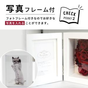 ボックスフレーム ダブル 立体額 サービスL(...の詳細画像3