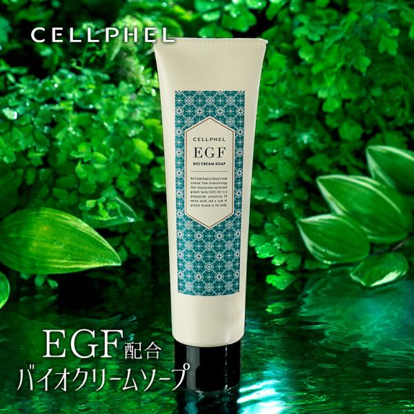 『セルフィル バイオクリームソープ 120g』 / EGF 洗顔 洗顔フォーム 洗顔料 エイジング
