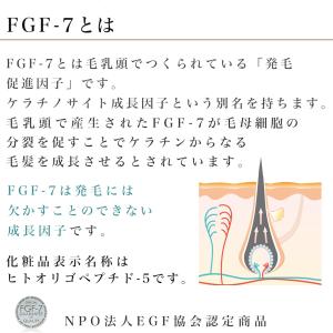 『イーポレーション スカルプミニ 特典付き』/...の詳細画像4