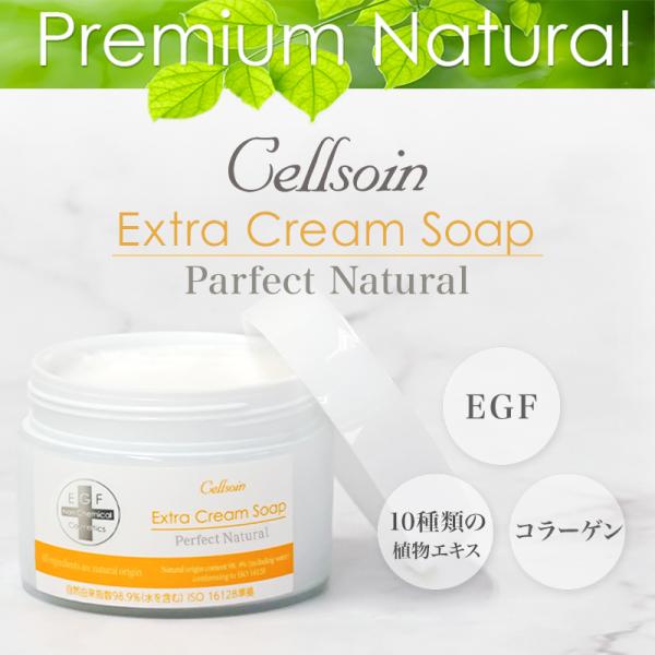 洗顔 全成分自然由来 EGF 洗顔フォーム 毛穴 ニキビ 泡 敏感肌 プレミアムナチュラル/ セルソ...