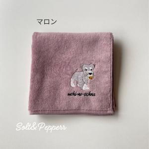 ボールシュナ シュナウザー雑貨 タオルハンカチ...の詳細画像1