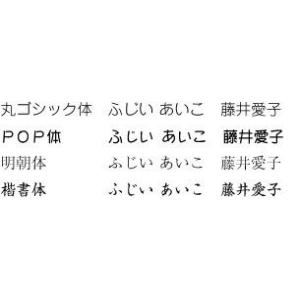 ゴム印 おなまえスタンプ単品 なまえ小(3×1...の詳細画像1