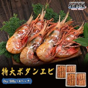 【送料無料】”特大ボタンエビ2kg” ボタンエビ ぼたんえ...