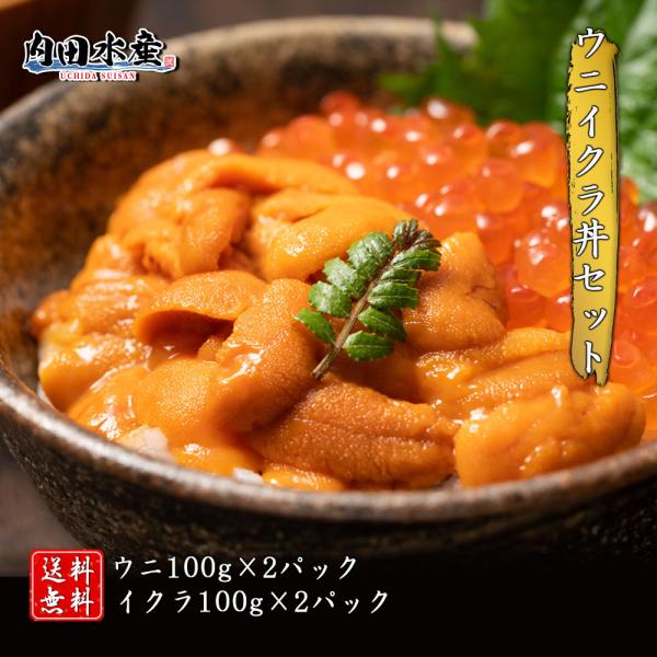 【送料無料】”ウニイクラ丼セット” イクラ醤油漬け うに ウニ 海鮮丼 2色丼