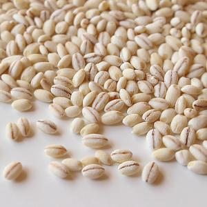 はくばく もち麦600g(50gx12)※北海...の詳細画像1