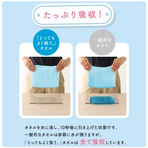 UCHINO とってもよく吸う「ごくふわ」フェ...の詳細画像2