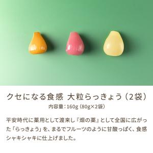 おつまみ プチギフト クセになる食感 大粒らっ...の詳細画像4