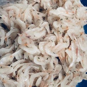 アミの塩辛 無添加の商品一覧 通販 Yahoo ショッピング