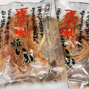 【送料無料】お得な２袋セット一夜干し風焼きいか　４８g×２（国内加工品）　珍味/おやつ/するめ/あたりめ【メール便発送】