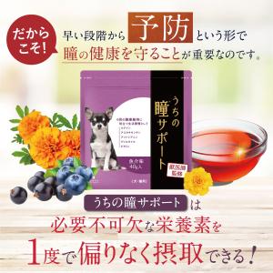 犬 サプリメント犬 涙やけ 犬 アイケア 犬 ...の詳細画像2