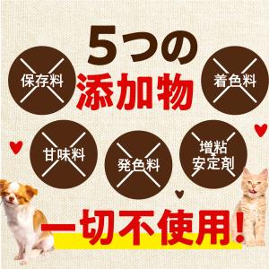犬 サプリ 犬 関節 サプリメント 犬用 猫用...の詳細画像5