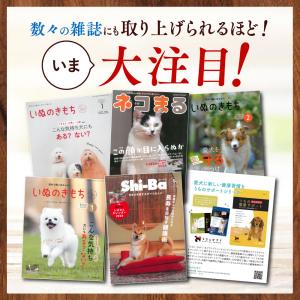 犬 猫 サプリ 皮膚 関節 サプリメント クリ...の詳細画像1
