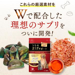 犬 猫 サプリ 皮膚 関節 サプリメント クリ...の詳細画像2