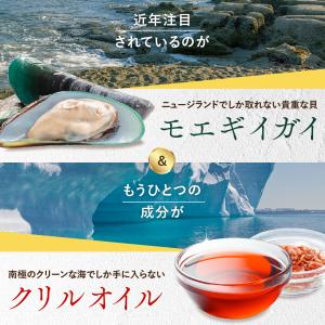 犬 猫 サプリ 皮膚 関節 サプリメント クリ...の詳細画像3