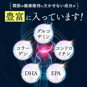 犬 猫 サプリ 皮膚 関節 サプリメント クリ...の詳細画像4