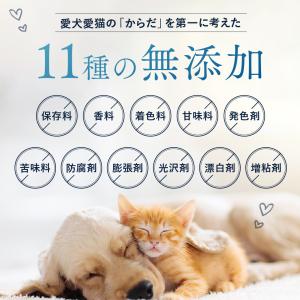 犬 猫 サプリ 皮膚 関節 サプリメント クリ...の詳細画像5