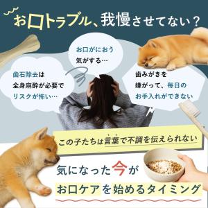 犬 歯磨き 犬 歯石 犬 歯垢 犬 口臭 歯磨...の詳細画像2