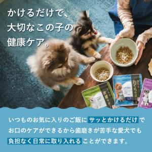 犬 歯磨き 犬 歯石 犬 歯垢 犬 口臭 歯磨...の詳細画像3