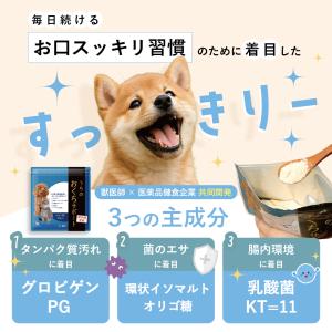 犬 歯磨き 犬 歯石 犬 歯垢 犬 口臭 歯磨...の詳細画像4