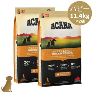 【リニューアル】アカナ ドッグフード パピーラージブリードレシピ 11.4kg×2袋 大型犬 子犬 犬用 正規販売店 送料無料 ACANA｜uchinoko-ogenkidou