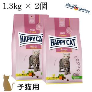 ORIJEN（オリジン） キャットフード オリジナルキャット 5.4kg （旧