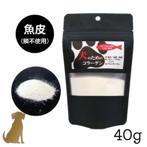 ケンドッグ 1箱 (10本入り) ペット用 シアルマリン 糖鎖栄養素