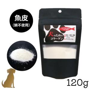 ケンドッグ 1箱 (10本入り) ペット用 シアルマリン 糖鎖栄養素