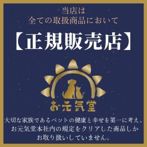 【こころりん 戌 久乗おりん(大) 】 山口久...の詳細画像3