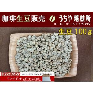 生豆100ｇ メキシコベラクルスルビー