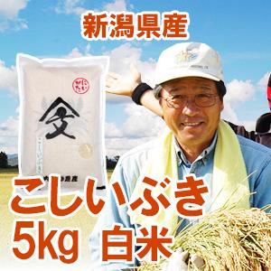 【内山農産の厳選米】令和5年産 新潟県産 「こしいぶき」 白米5kg