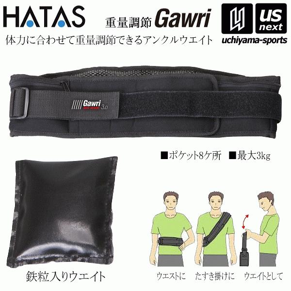 秦運動具工業 Gawri ボディウエイト 3kg 2024年継続モデル [自社](メール便不可)(送...