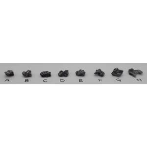 【通販限定】カンポ・デル・シエロ 約1.0g ...の詳細画像2