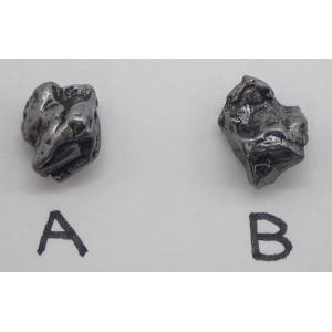 【通販限定】カンポ・デル・シエロ 約1.0g ...の詳細画像5