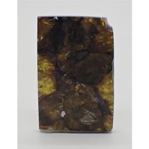 宇宙村 - イミラック・パラサイト Imilac Pallasite（隕石（原石 