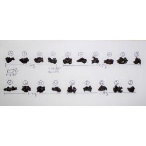 ギベオン隕石の粉（こな）ー粒の大きさが選択できるようになりました