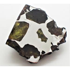 イミラック・パラサイト 石鉄隕石 560g Imilac Pallasite Meteorite