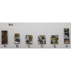 【通販限定】イミラック・パラサイト 約1.0〜...の詳細画像3