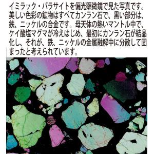 イミラック・パラサイト 石鉄隕石 560g I...の詳細画像3