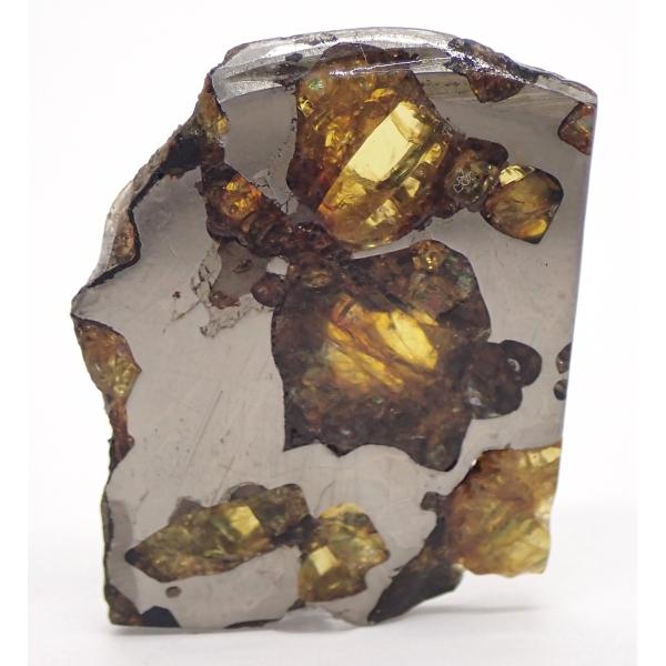 【通販限定】イミラック・パラサイト  5.9g　石鉄隕石 Imilac Pallasite Mete...