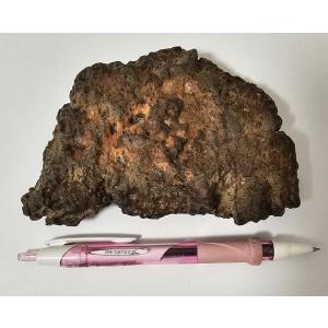 火星隕石　Amgala 001 　389g シャーゴッタイト　マーズ　Mars　マーティン隕石　Shergottite　Martian Meteorite