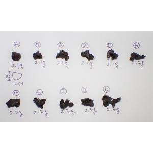 ギベオン隕石の粉（こな）パウダー（100ミクロン未満の粒）1g （ 1g
