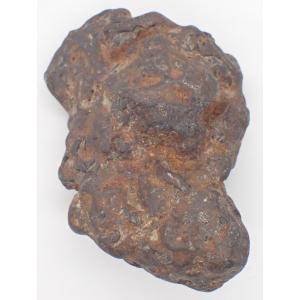 【通販限定】セリコ・パラサイト　原石　193.4ｇ　sericho