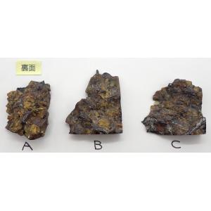 セイムチャン隕石　片面は被膜のパラサイト部分　10.0-10.3g Seymchan　 