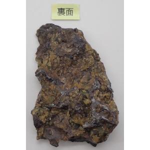 通販限定】オデッサ隕石 9.6g サビあり Odessa Meteorite : 宇宙村