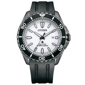 BN0197-08A PROMASTER プロマスター CITIZEN シチズン  メンズ 腕時計 国内正規品 送料無料｜udetokei-watch